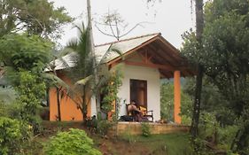Serene Sinharaja